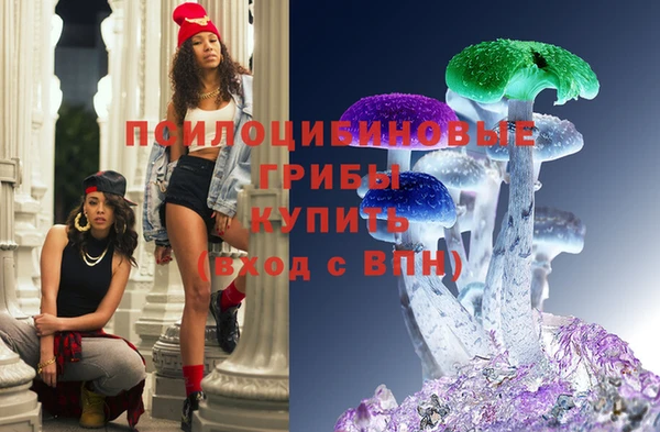 крисы Медногорск