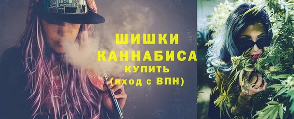 ешки Вязьма