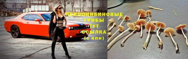 ешки Вязьма